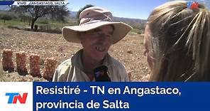 RESISTIRÉ - TN en Angastaco, provincia de Salta, recorriendo una cosecha de cebollas y morrones
