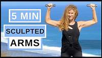 7 Minute Sculpted Arm Indoor Workout For Women! With Weights
