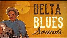 Delta Blues Sounds Best Of The Mississippi Delta's Stars