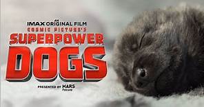 Superpower Dogs Official Trailer | Experience It In IMAX®