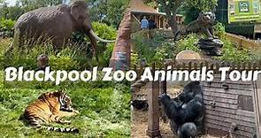 Blackpool Zoo Animals Tour 2023| Blackpool Zoo Exploring
