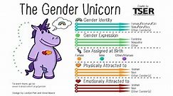 California teacher uses 'gender unicorn' with toddlers