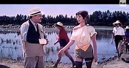 La risaia - 2/2 (1956 melodramma) Elsa Martinelli Folco Lulli - Video Dailymotion