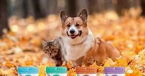 🐾🍂Show Your Pet Some... - The Granville Island Pet Treatery
