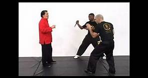 william cheung Wing Chun Kung Fu 3