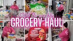 $300 WALMART & BJ'S GROCERY HAUL || GROCERIES FOR FAMILY OF 6 ON A BUDGET + BI-WEEKLY MEAL PLAN