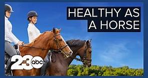 Health Benefits of Horseback Riding | THE LIST