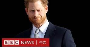 哈里王子自傳「毀滅性爆料」引發震蕩 書中寫了什麼？ － BBC News 中文