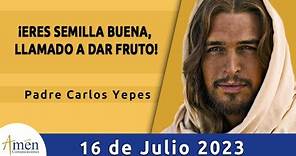 Evangelio De Hoy Domingo 16 Julio 2023 l Padre Carlos Yepes l Biblia l Mateo 13,1-23 l Católica