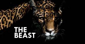 Jaguar: The True King of the Jungle