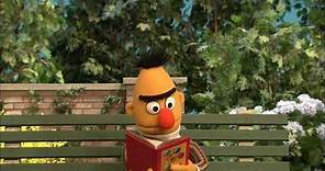 Sesame Street: Ernie Explores His Senses