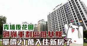 雙北房價居高不下青埔後花園過嶺重劃區 單價21萬入住新房子 | 台灣新聞 Taiwan 蘋果新聞網