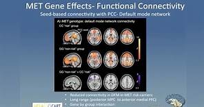 Linking Genes Brain and Behavior in Autism Spectrum Disorder
