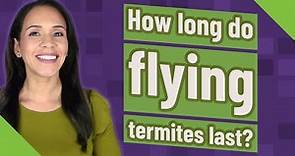 How long do flying termites last?