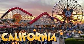 Disney California Adventure Vlog January 2020