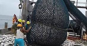 Big Catch in The Sea..You Won't Believe That How Many Fish, Awesome Fish Processing Machine