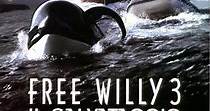 Free Willy 3 - Il salvataggio - streaming online