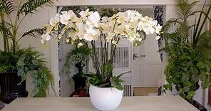 A big white Orchid floristry design!