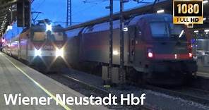 Züge Wiener Neustadt Hbf ● 2.2.2024