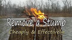 How to Remove a Stump, Cheaply & Effectively!