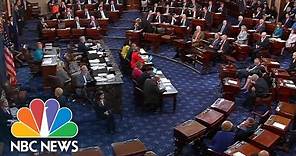 Senator Lisa Murkowski Votes No On Cloture While Collins Votes Yes | NBC News