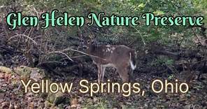 Glen Helen Nature Preserve - Yellow Springs, Ohio