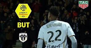 But Jeff REINE ADELAIDE (47') / Angers SCO - Stade Rennais FC (3-3) (SCO-SRFC)/ 2018-19