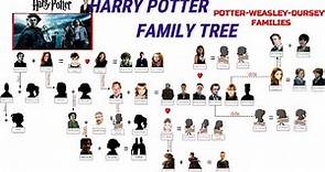 Harry Potter Family Tree (Potter-Weasley-Dursley Families) Part I