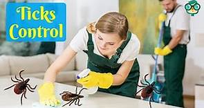 How to Get Rid of Ticks in the House Fast? How to Get Rid of Ticks in the House Naturally?