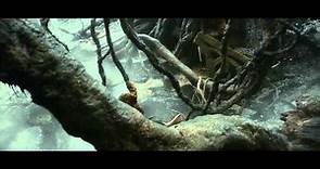 Lo Hobbit: La Desolazione di Smaug - Extended Edition - Clip dal film | HD
