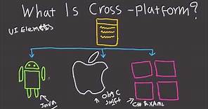 What is Cross Platform Development? - Mobile and Desktop Explained