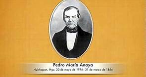 Pedro María Anaya, Héroe Nacional.mov