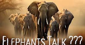 Elephant Talk - Unraveling the Secrets of Jumbo Communication