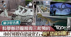 【親子好去處】科學館大型恐龍展明開放預約　市民可觸摸真恐龍化石 - 香港經濟日報 - TOPick - 新聞 - 社會