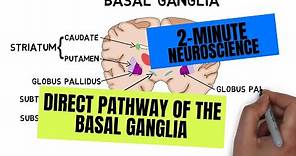 2-Minute Neuroscience: Direct Pathway of the Basal Ganglia