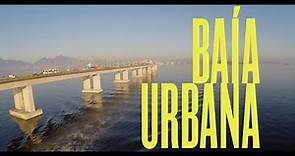 Baía Urbana: Documentário premiado sobre a impressionante biodiversidade da Baía de Guanabara