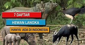7 Hewan langka yang masih hidup di Indonesia