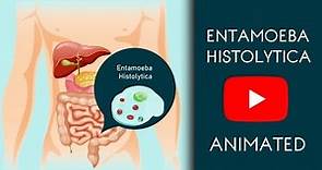 Entamoeba Histolytica in Easy Animated | Microbiology