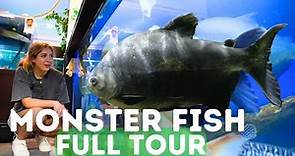 World's LARGEST Monster Fish! FULL Tour at Ohio Fish Rescue