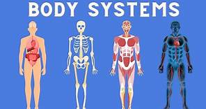 11 Body Systems in 3 minutes