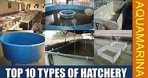 Top 10 different types of fish Hatchery