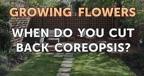 When Do You Cut Back Coreopsis?