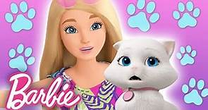 I migliori momenti con gli animali di Barbie! 🐶🐱💛 | Amici cuccioli | Barbie Italiano