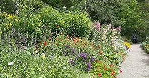 Abby Aldrich Rockefeller Garden in full bloom