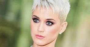 ▷ Biografía de Katy Perry - ¡RESUMIDA y en ESPAÑOL!
