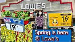 Lowe’s Clearance Sale Spring Time