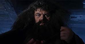 A visit from Rubeus Hagrid | Harry Potter and the Philosopher's Stone