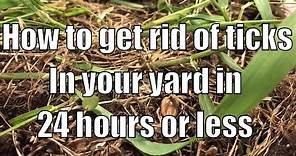 How to get rid of ticks in your yard in 24 hours or less