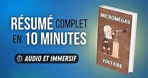 Résumé immersif : Micromégas - Voltaire
