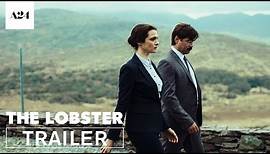 The Lobster | Official Trailer HD | A24
